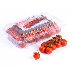 MM 山姆 串收小番茄 1kg