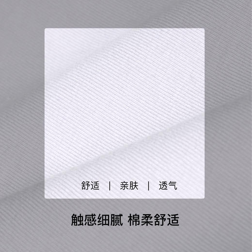 【满4条/7.5折】（中版）【秀黛】女经典高支棉平角裤女士内裤【1条】S6333020T【门店同款】【内裤非质量问题不退换】 商品图3