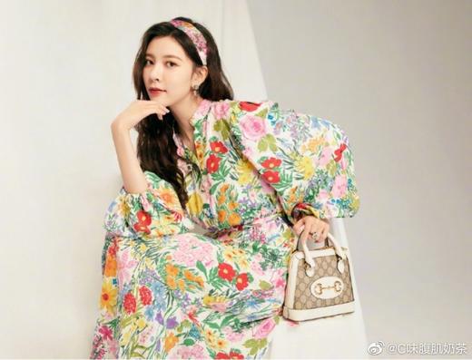 古驰  Horsebit迷你贝壳包   （LZ） 商品图8