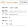 印度白芷原精 Angelica 进口印度白芷精油原料批发芳疗香氛香薰精油 商品缩略图2