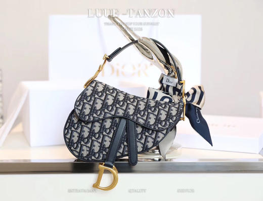 迪奥-Oblique  中号老花马鞍手袋（LZ） 商品图1