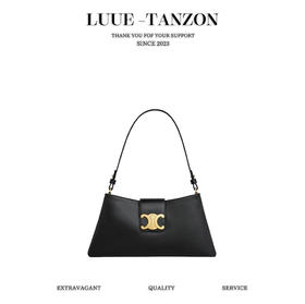 赛琳-凯旋门23秋冬 新款腋下包|超精致（LZ）