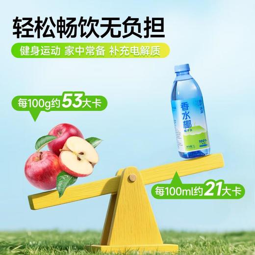 耶气满满香水椰椰子水 1L/瓶 商品图1