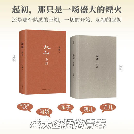 起初 鱼甜 王朔 著 小说 商品图1