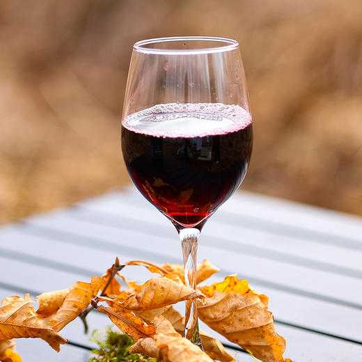 【野生蓝莓冰酒】产自黑龙江伊春 冻土层野生蓝莓制成，呈宝石红色AA 商品图1