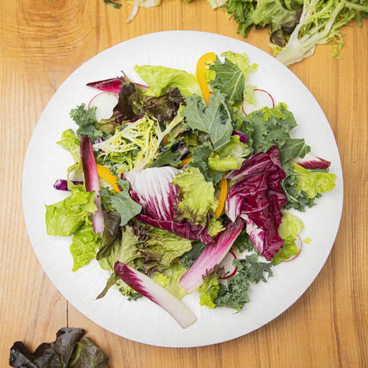 MM 山姆 紫缤纷沙拉菜 400g 商品图4