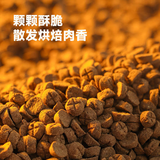 MM 山姆 鲜朗 烘焙全期全价猫粮 4.4kg（2kg*2+400g*1） 商品图4