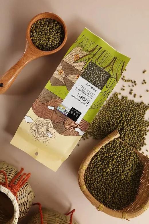29.9到手2斤装，有机绿豆每一袋都有有机码当季新豆颗粒圆润饱秒煮开花清凉糖水一包搞定基地直邮 商品图2