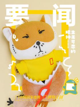 狐主任的今日要闻！