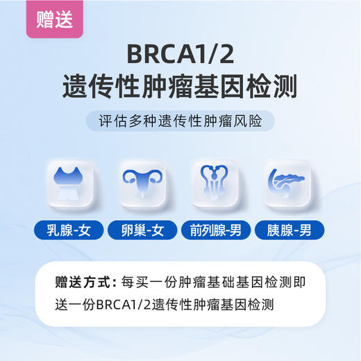 爱康 南方基因-肿瘤基础（女13男10项）风险评估 商品图2