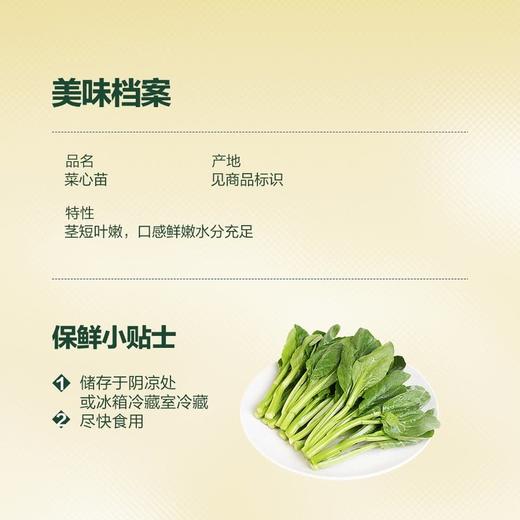 MM 山姆 菜心苗600g 商品图1