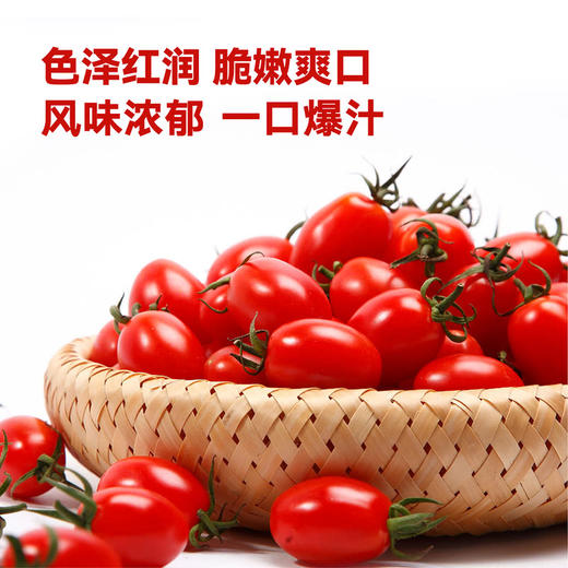 MM 山姆 车厘茄 1.25kg 商品图2