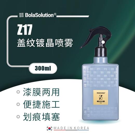 BOLA SOLUTION Z17盖纹镀晶喷雾 300ml 商品图0