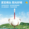 可孚碘伏棉签新生婴儿宝宝专用肚脐伤口一次性消毒医用消毒液棉棒 商品缩略图4