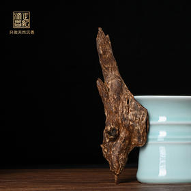 天然海南沉香 沉水级 SP11831