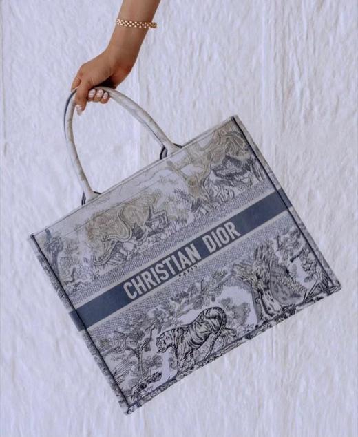 迪家托特渐变兰老虎，超宽敞的内容量感觉可以装下整个世界！（LZ） 商品图3