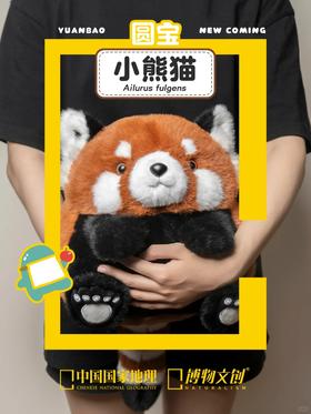 古怪精灵 圆滚滚的小熊猫来啦！