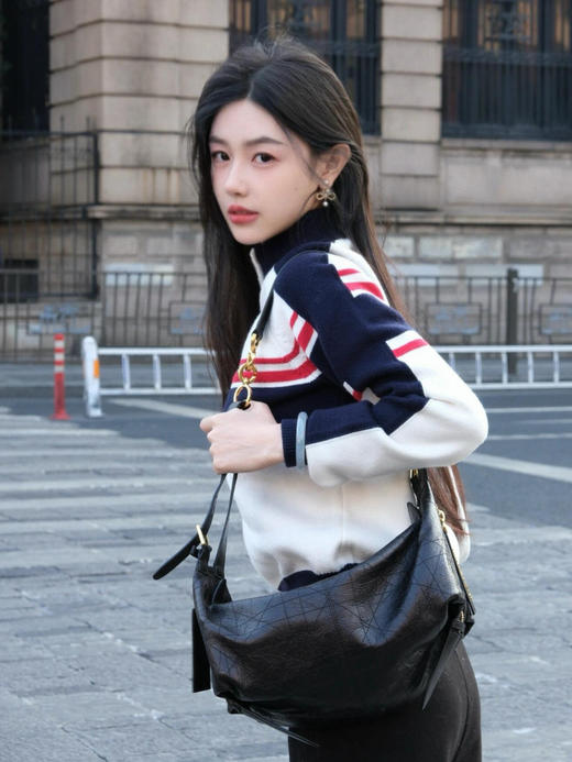 DIOR迪奥 D-Journey 金色五金配件拉链开合 牛皮 单肩包 中号 小号系列（LZ） 商品图4