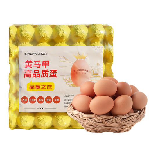 黄马甲-无抗老母鸡&高品质蛋 商品图2