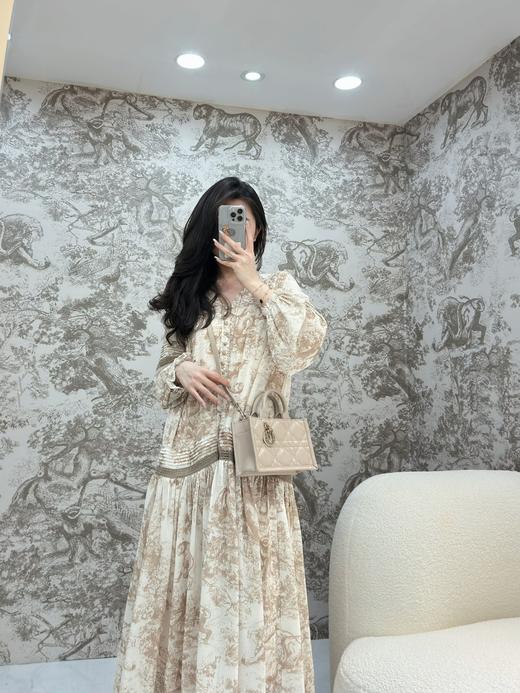 迪奥 迷你BOOKTOTE 手袋单肩包（MM） 商品图12