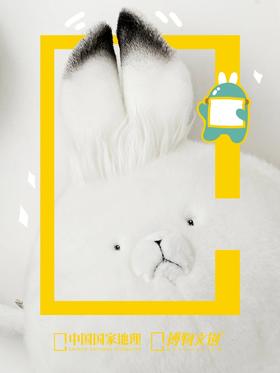 北极兔的耳朵香香的