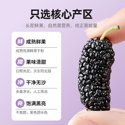 【10袋到手仅39.9元】【杞里香黑桑葚干无沙桑椹子100g/袋】泡茶泡酒非免洗即食桑葚旗舰店
自然生长  口感软甜 干净无沙 商品图1