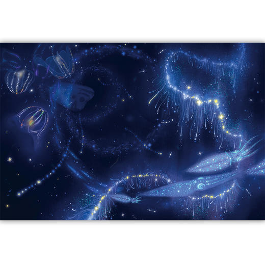 跟着科学家去探险 我在海底"爬山" 商品图2