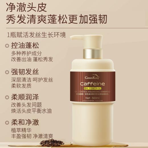 （买多省多 两件任选到手仅99元）绿色溪谷赋活控油蓬松洗发乳500ml单瓶或组合装任选-4900 商品图0