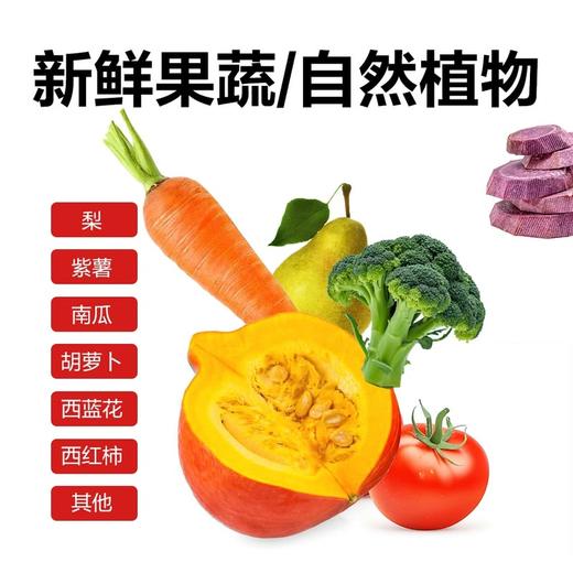 MM 山姆 伯纳天纯 原始狩猎系列全价犬粮 5.2kg 商品图7