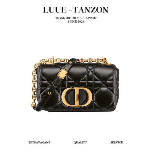 迪奥-CARO 多色 鎏金扣 手提包单肩包（LZ） 商品图0