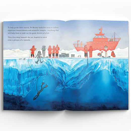 Hidden Wonders 隐藏的奇迹 商品图2