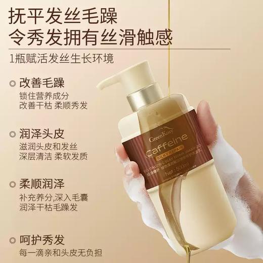 （买多省多 两件任选到手仅99元）绿色溪谷赋活弹滑修护洗发乳500ml 单瓶或组合装任选-4887 商品图1
