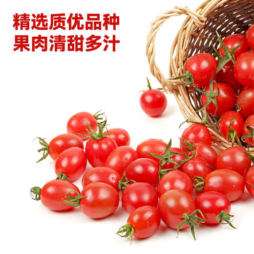 MM 山姆 车厘茄 1.25kg 商品图3