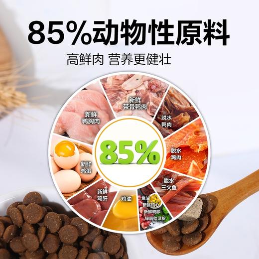 MM 山姆 伯纳天纯 原始狩猎系列全价犬粮 5.2kg 商品图3