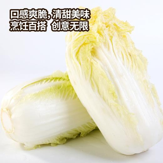MM 山姆 高山娃娃菜 800g 商品图4