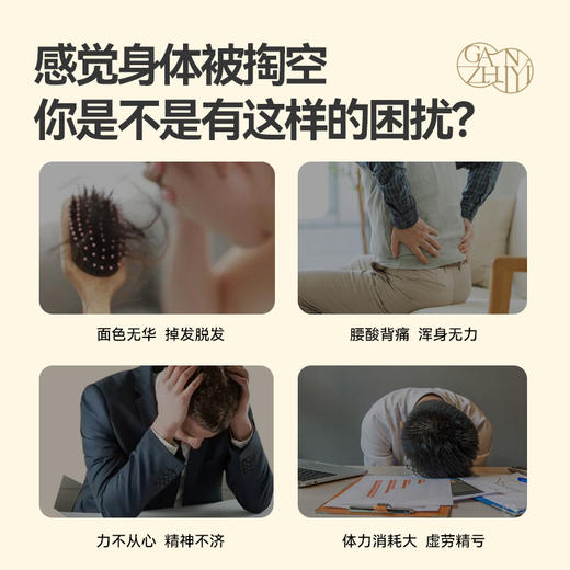 甘之颐 人参黄精膏 150g/瓶 正宗官方旗舰店养生膏 商品图1