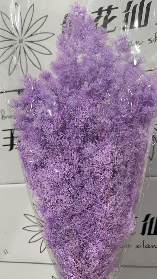 永生花材 | 蓬莱松香芋紫 商品图0