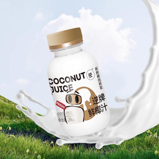 【NFC鲜椰汁】入口丝滑 进口鲜榨 无菌冷灌装 好喝健康 欢聚必备 商品图3