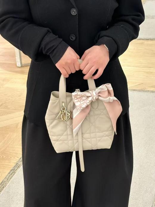 迪奥 25早春新品 土著 Toujours竖版手袋（LZ） 商品图5