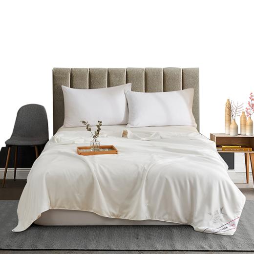 天琴 云锦蚕丝被 TQ-B097 商品图0