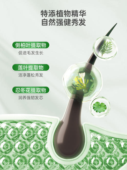 ⁵清69元2瓶【米亚可青蒿头皮素】头皮素同厂容量大一倍，头皮长痘 头皮屑 150ml/支  YY05-QTT-YLJZ 商品图2