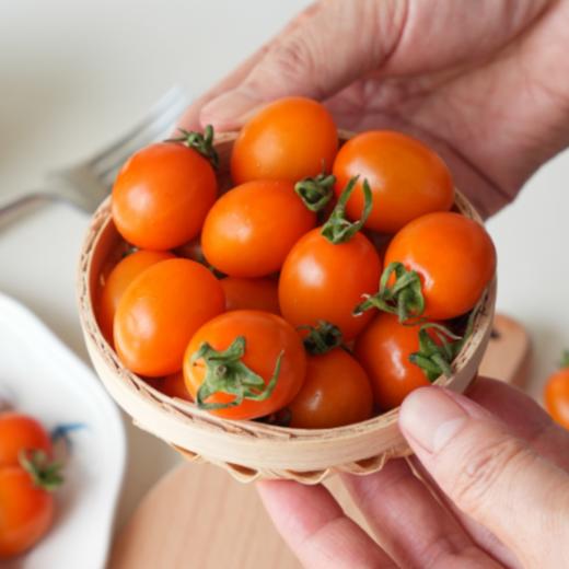 【斌哥优选】蜜橙小番茄 10余年研发新种源，皮脆爆汁，8甜2酸黄金口感比例，番茄界的黑马，今年的头茬鲜果。 商品图1