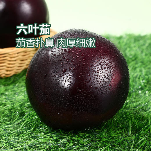 MM 山姆 六叶茄 800g 商品图3