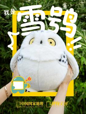 开工日 目光如炬！