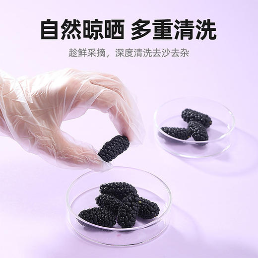 【10袋到手仅39.9元】【杞里香黑桑葚干无沙桑椹子100g/袋】泡茶泡酒非免洗即食桑葚旗舰店
自然生长  口感软甜 干净无沙 商品图3