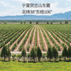 【西夏王2019赤霞珠干红葡萄酒】产自宁夏贺兰山东麓葡萄酒产区 颜色浓郁酸度高 口感芬芳郁充满果香AA 商品缩略图4
