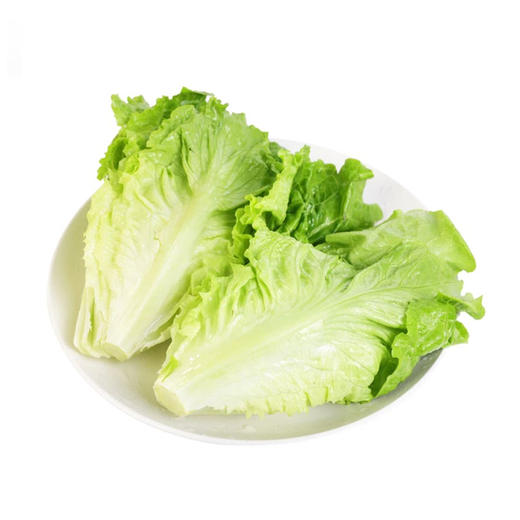 MM 山姆 供港生菜 600g 商品图0