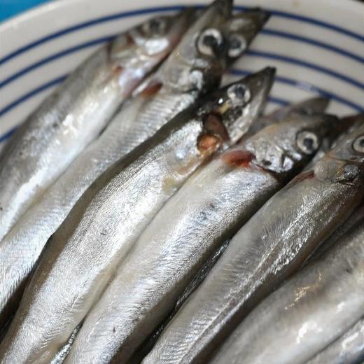 挪威深海多春鱼 | 一口爆籽，煎炸烤都好吃，高蛋白高钙很营养【下单72小时发货】 商品图3