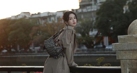 迪奥 D-Journey 手袋 饭盒包 老花配皮（CB） 商品图10