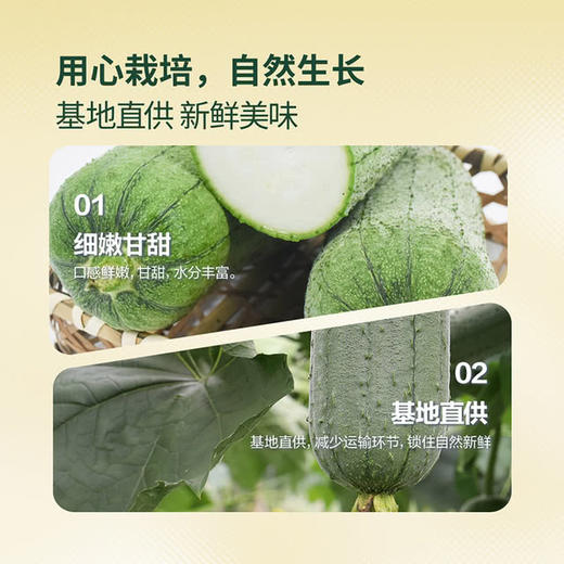 MM 山姆 翡翠丝瓜 750g 商品图2